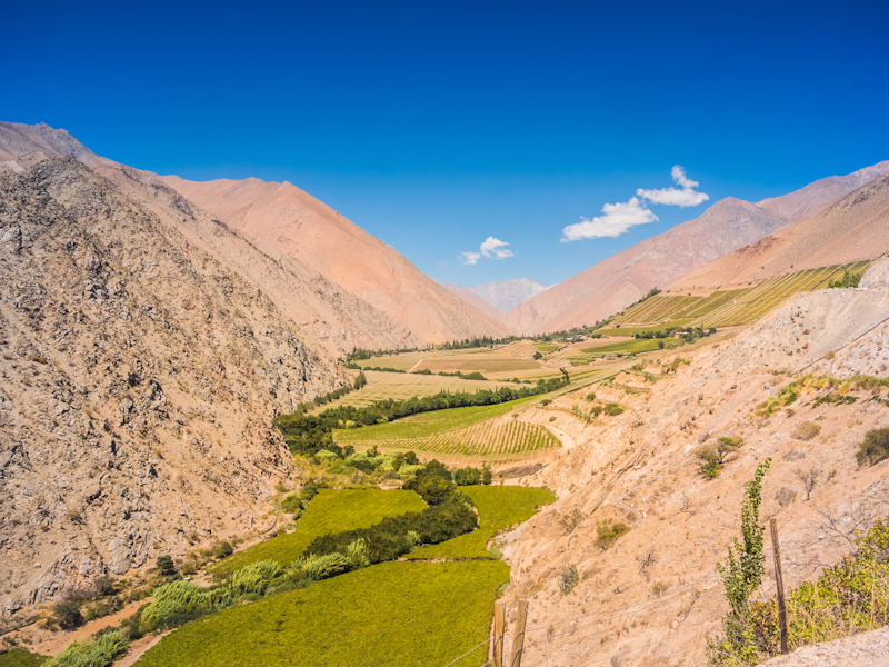 Valle del Elqui