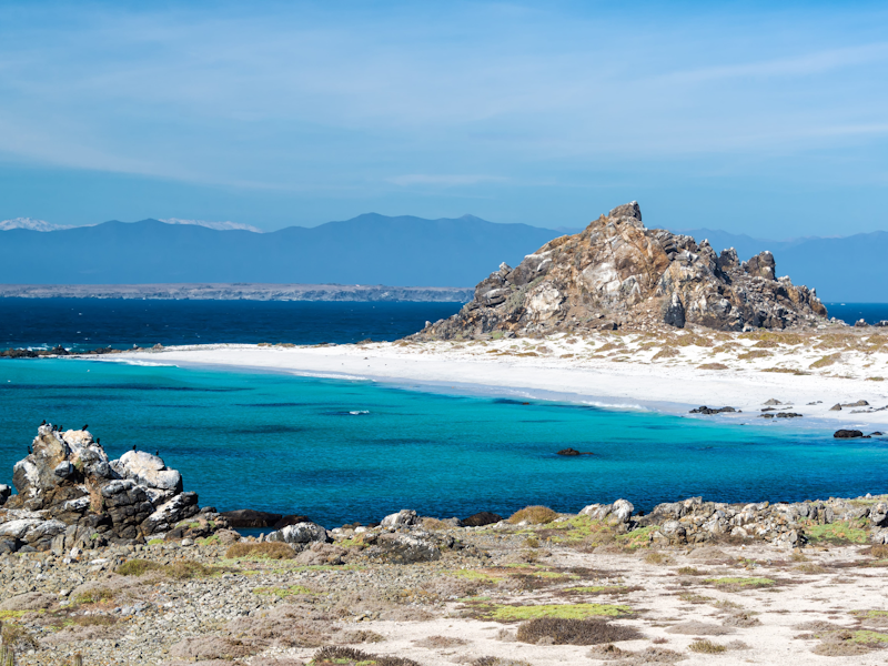Isla Damas y Punta de Choros